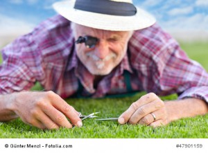 Close up of senior gardener cutting grass 3