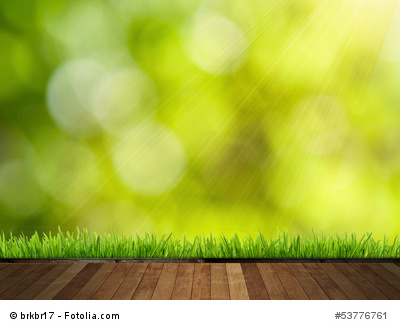 Wie und wann man seinen Rasen am besten bewässern sollte › Rasen erneuern